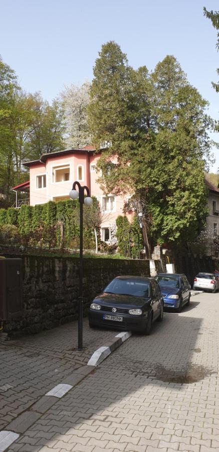 Casa Rosa Villa Băile Olăneşti Buitenkant foto