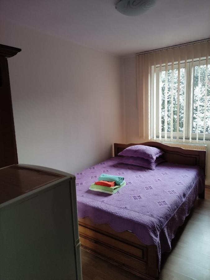 Casa Rosa Villa Băile Olăneşti Buitenkant foto