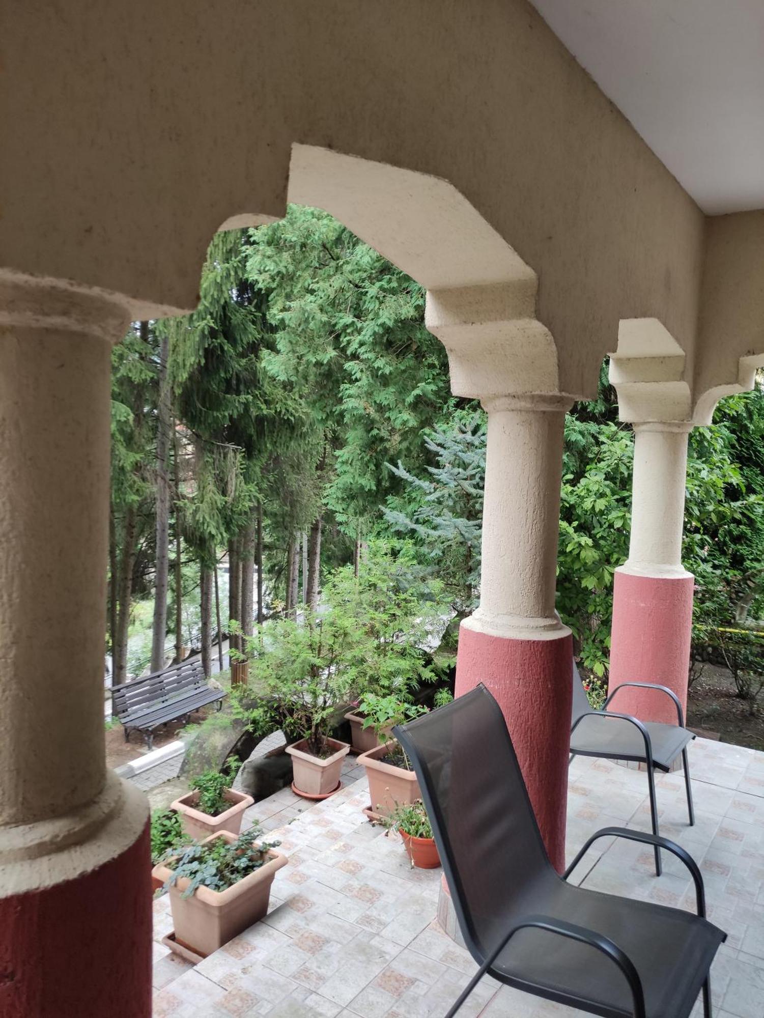 Casa Rosa Villa Băile Olăneşti Buitenkant foto