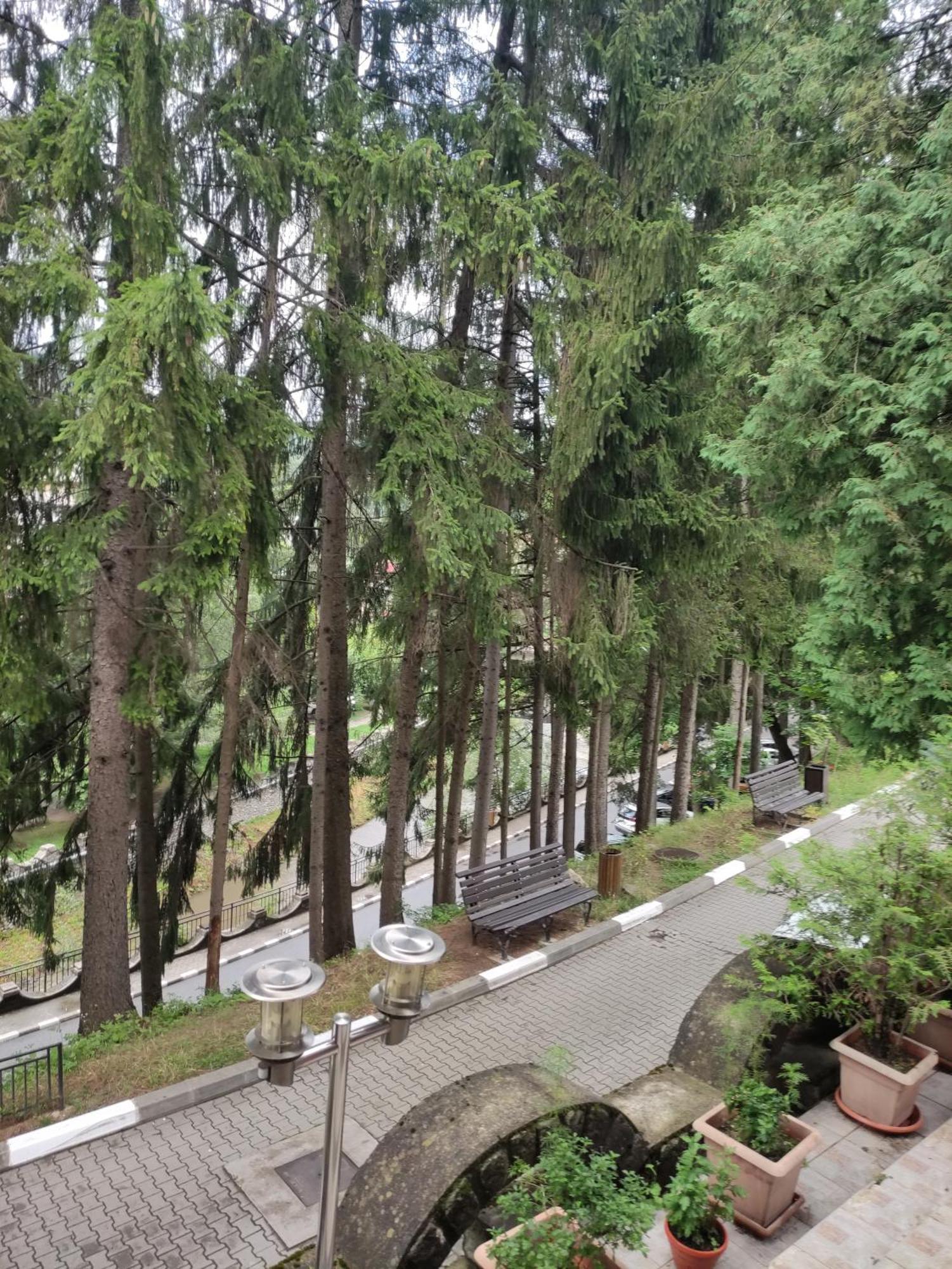 Casa Rosa Villa Băile Olăneşti Buitenkant foto